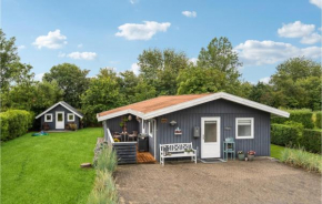 Amazing Home In Hemmet With Wifi